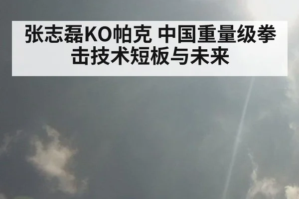 张志磊KO帕克 中国重量级拳击技术短板与未来